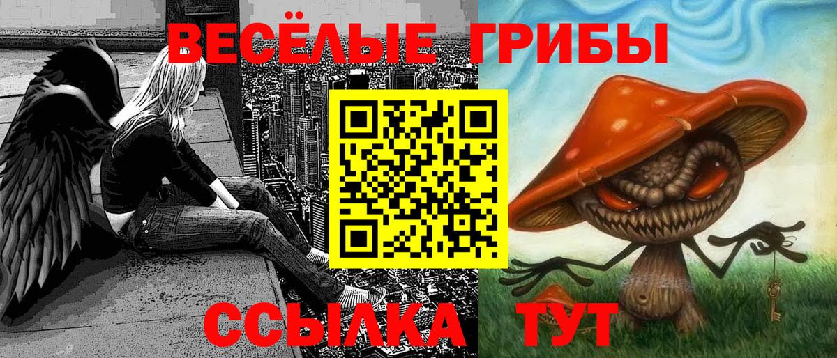 Галлюциногенные грибы прущие грибы Буйнакск