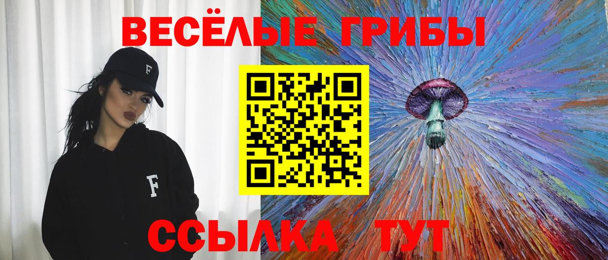 Псилоцибиновые грибы Psilocybine cubensis  Псилоцибиновые грибы Psilocybine cubensis  Вход с VPN  Буйнакск 